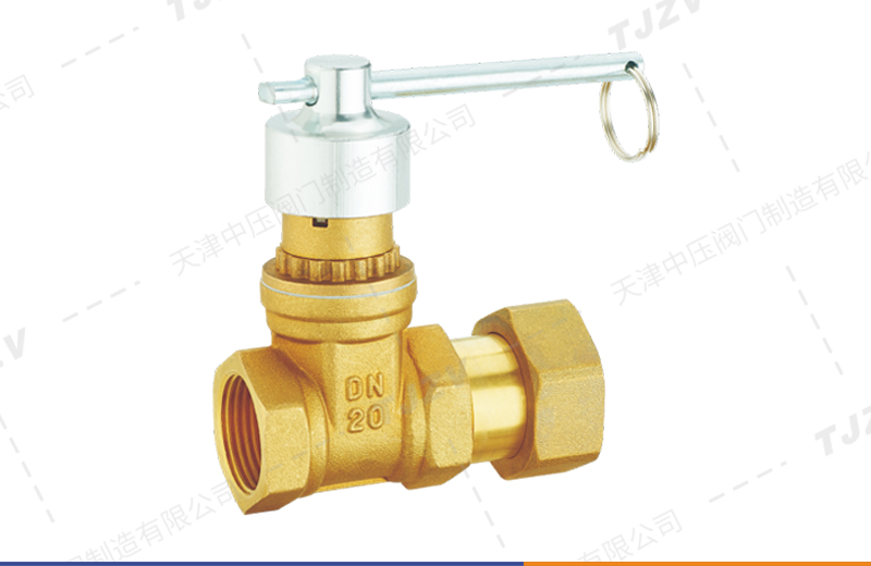 磁性锁闭活接止回闸阀