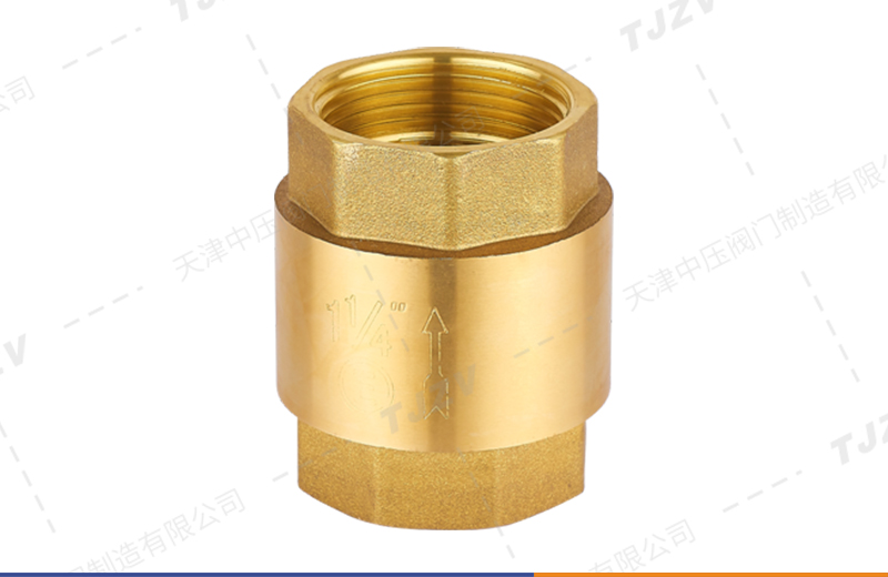 黄铜立式止回阀