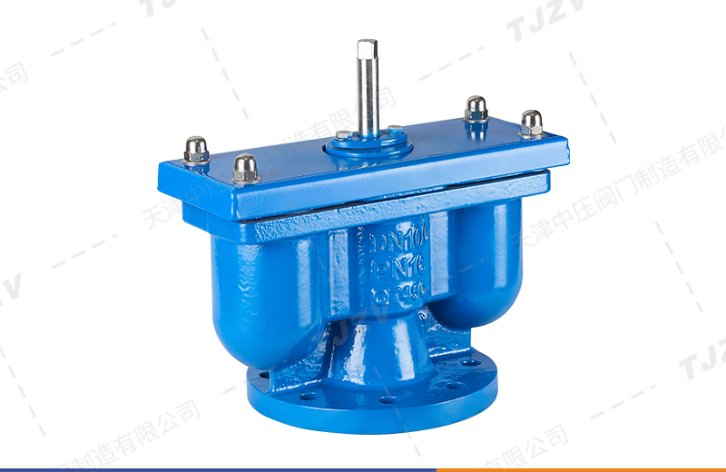 法兰双口排气阀