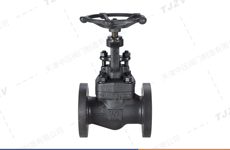 锻钢法兰截止阀