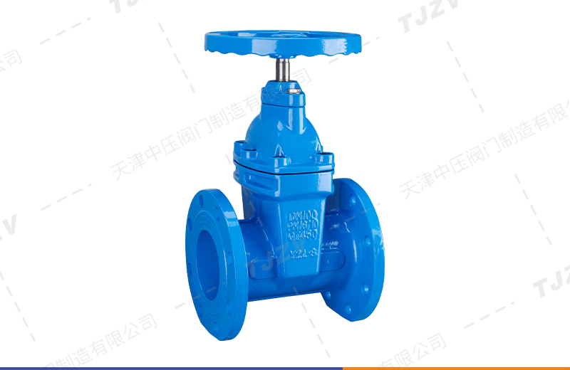 暗杆弹性座封闸阀