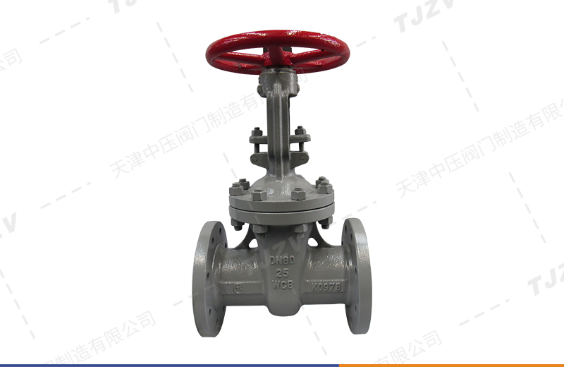 国标铸钢闸阀