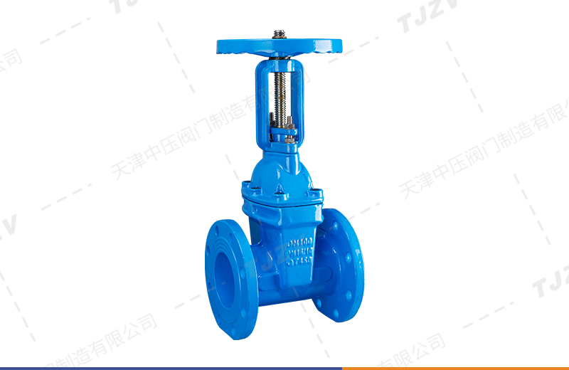 明杆弹性座封闸阀