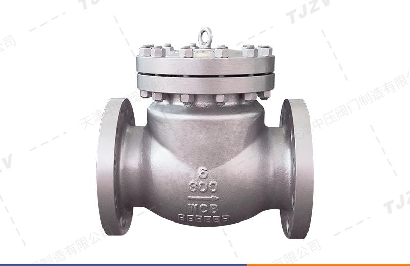 美标旋启式止回阀